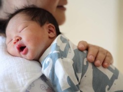 供卵孕妈带怀服务机构